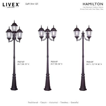 A large image of the Livex Lighting 7557 Alternate Image