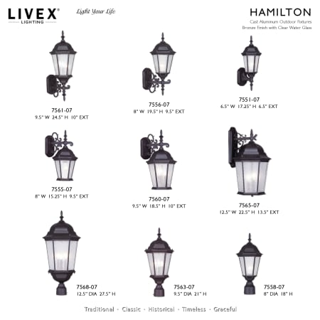 A large image of the Livex Lighting 7557 Alternate Image