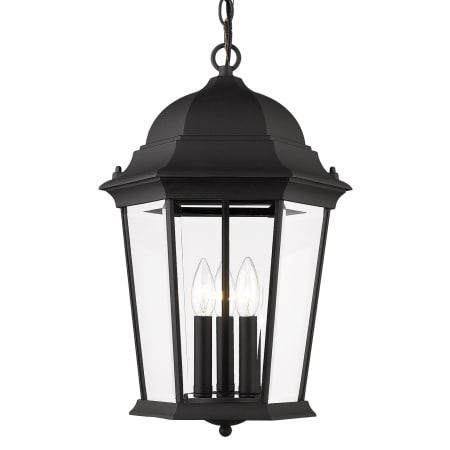 A large image of the Livex Lighting 7569 Textured Black