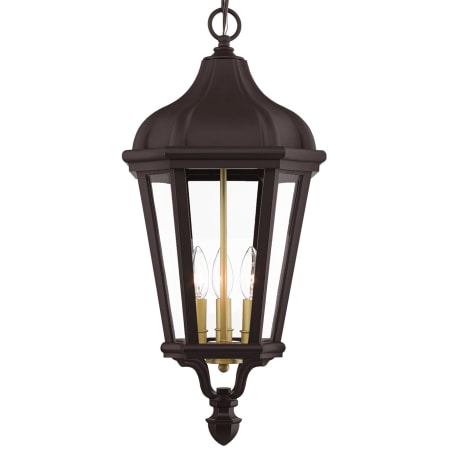 A large image of the Livex Lighting 76193 Bronze