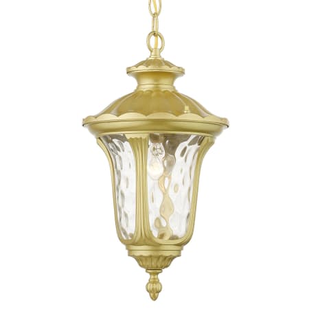 A large image of the Livex Lighting 7854 Soft Gold