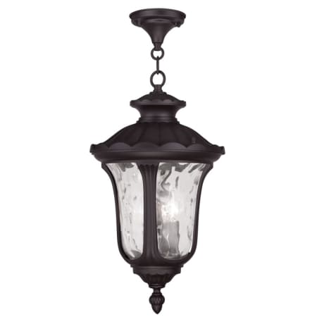 A large image of the Livex Lighting 7858 Bronze