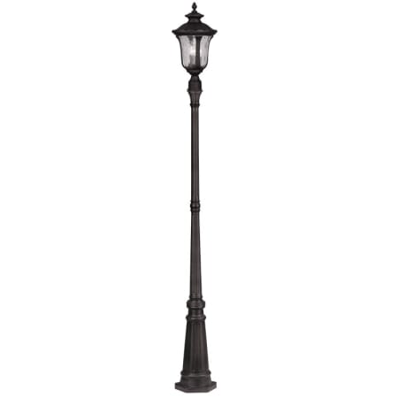 A large image of the Livex Lighting 7859 Bronze