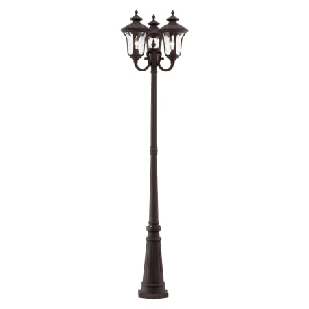 A large image of the Livex Lighting 7866 Bronze