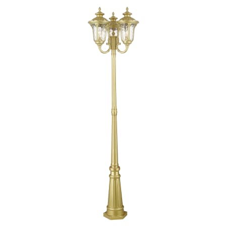 A large image of the Livex Lighting 7866 Soft Gold