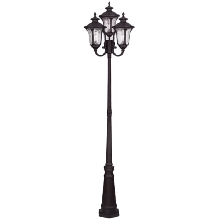 A large image of the Livex Lighting 7869 Bronze