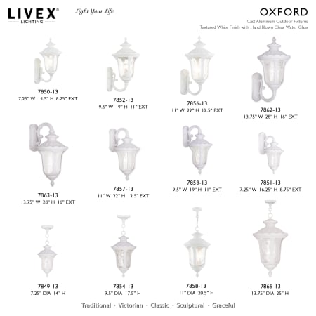 A large image of the Livex Lighting 7869 Alternate Image