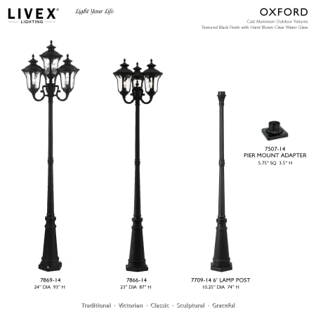 A large image of the Livex Lighting 7869 Alternate Image