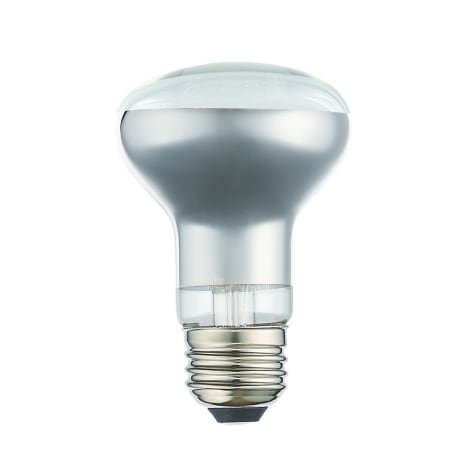 A large image of the Livex Lighting 960711X60 Single Bulb