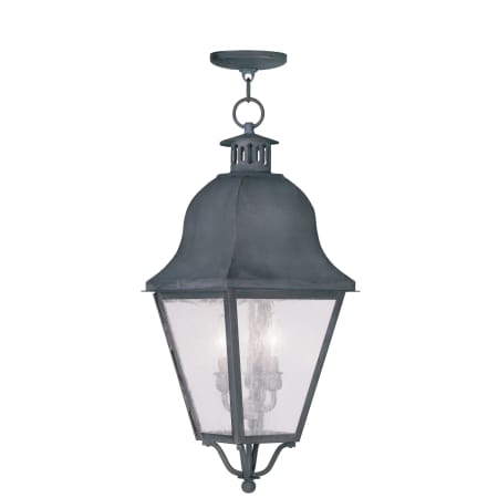 A large image of the Livex Lighting 2557 Charcoal