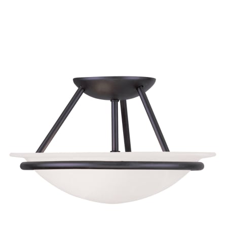 A large image of the Livex Lighting 4823 Black