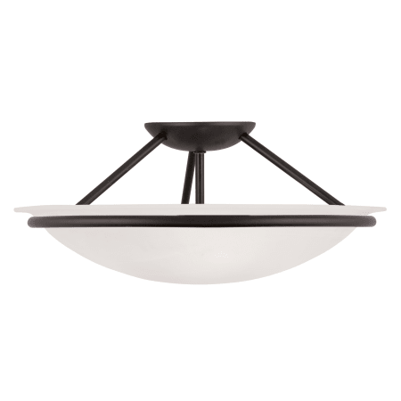 A large image of the Livex Lighting 4824 Black