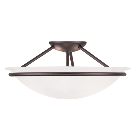 A large image of the Livex Lighting 4824 Bronze