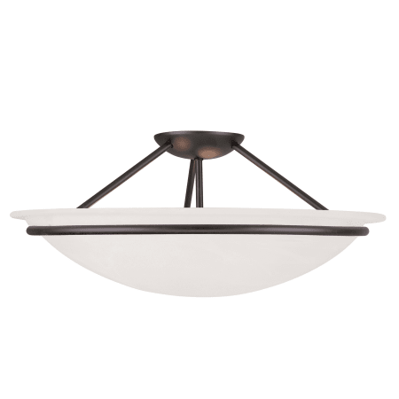 A large image of the Livex Lighting 4825 Black