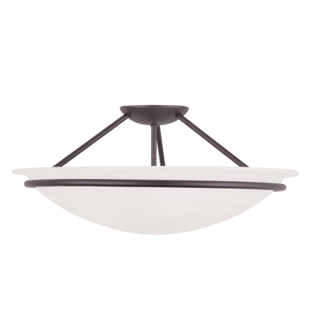 A large image of the Livex Lighting 4825 Bronze