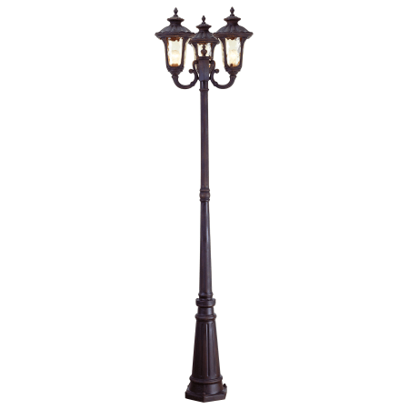 A large image of the Livex Lighting 7666 Imperial Bronze