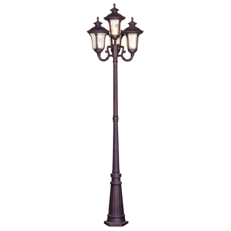 A large image of the Livex Lighting 7669 Imperial Bronze