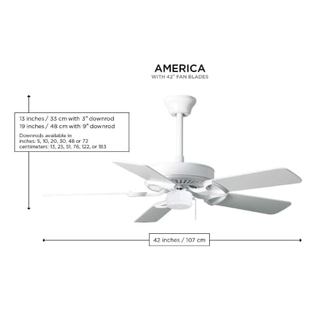 A large image of the Matthews Fan Company AM-USA-42 Alternate Image