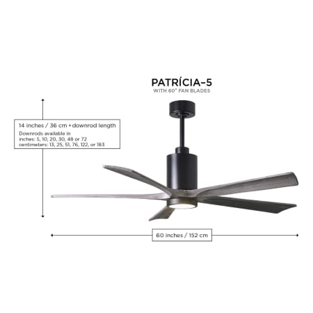 A large image of the Matthews Fan Company PA5-60 Alternate Image
