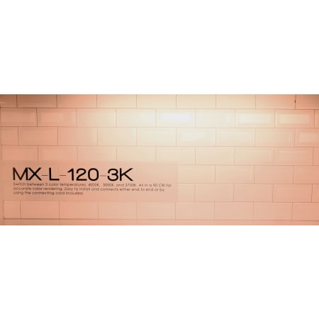 A large image of the Maxim 89893 Alternate Image