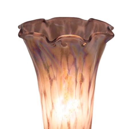 A large image of the Meyda Tiffany 14358 Alternate Image