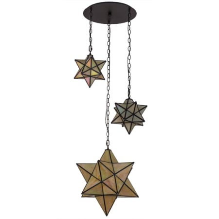 A large image of the Meyda Tiffany 166958 Alternate Image