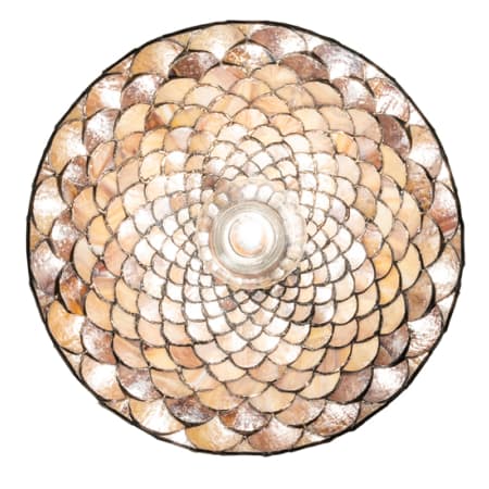 A large image of the Meyda Tiffany 245670 Alternate Image