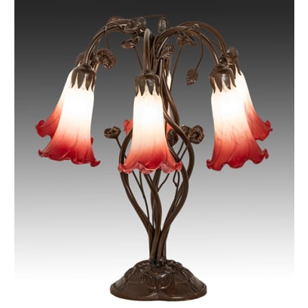 A large image of the Meyda Tiffany 255809 Mahogany Bronze