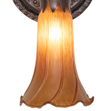 A large image of the Meyda Tiffany 261099 Alternate Image