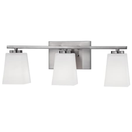 A large image of the Millennium Lighting 293 Brushed Nickel