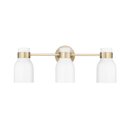 A large image of the Millennium Lighting 23003 Modern Gold