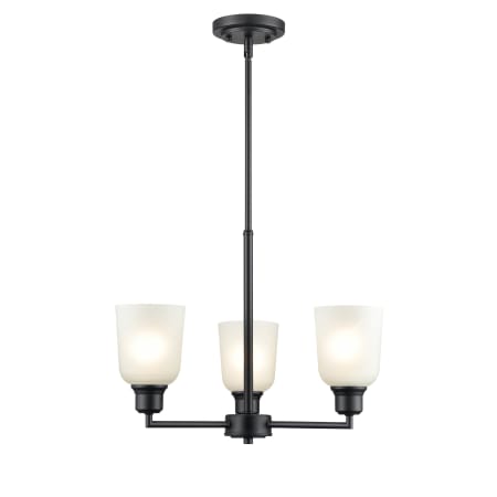 A large image of the Millennium Lighting 2813 Matte Black