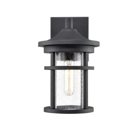 A large image of the Millennium Lighting 91301 Textured Black
