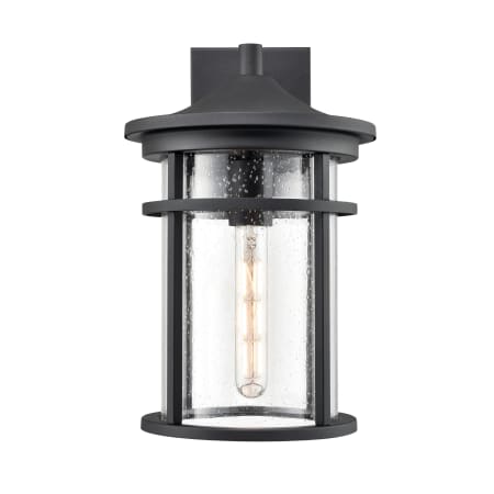 A large image of the Millennium Lighting 91311 Textured Black