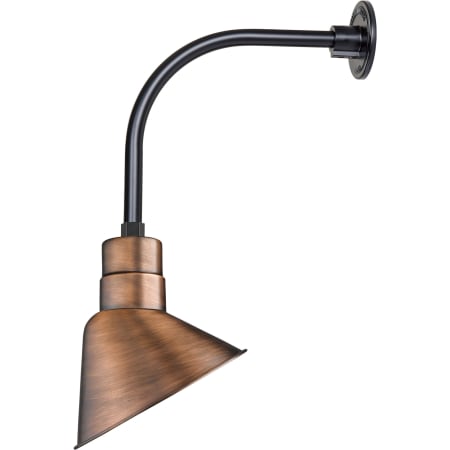 A large image of the Millennium Lighting RAS10-RGN12 Natural Copper