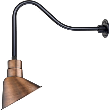 A large image of the Millennium Lighting RAS10-RGN23 Natural Copper