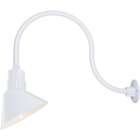 A large image of the Millennium Lighting RAS10-RGN24 White