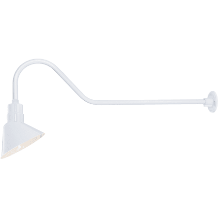 A large image of the Millennium Lighting RAS10-RGN41 White