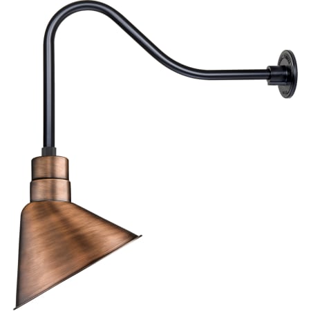 A large image of the Millennium Lighting RAS12-RGN23 Natural Copper