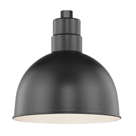 A large image of the Millennium Lighting RDBS12-RGN41 Millennium Lighting RDBS12-RGN41