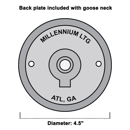 A large image of the Millennium Lighting RGN15 Alternative View