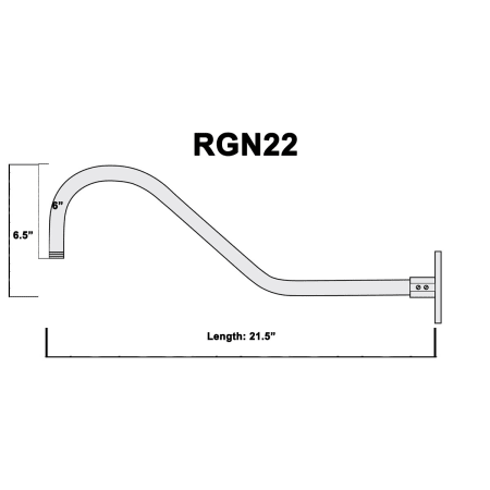 A large image of the Millennium Lighting RGN22 Alternative View