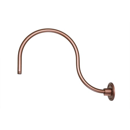 A large image of the Millennium Lighting RGN24 Copper