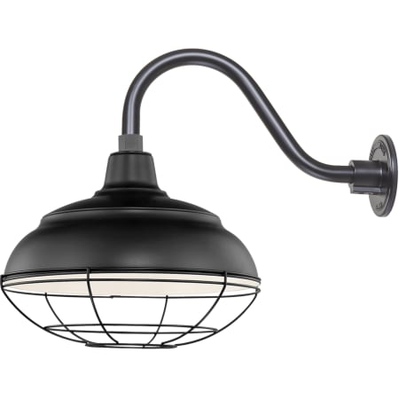 A large image of the Millennium Lighting RWHS14-RGN15 Satin Black