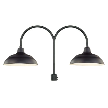 A large image of the Millennium Lighting RWHS17-RPAD Satin Black