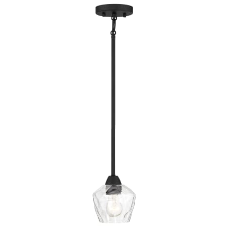 A large image of the Minka Lavery 2171 Pendant with Canopy - Coal