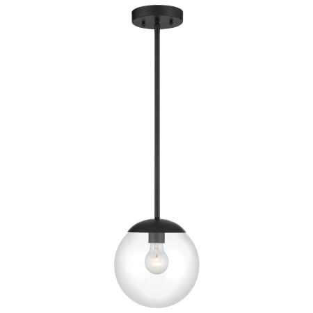 A large image of the Minka Lavery 2790 Pendant with Canopy - Coal