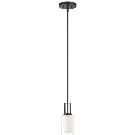 A large image of the Minka Lavery 4101 Pendant with Canopy - SC