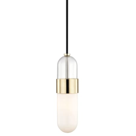 A large image of the Mitzi H126701 Polished Brass