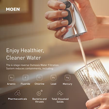 A large image of the Moen F9900 Alternate Image
